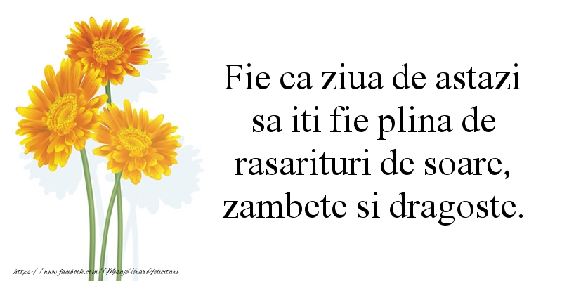 Felicitari aniversare De Zi De Nastere - Ziua de astazi sa iti fie plina de rasarituri de soare