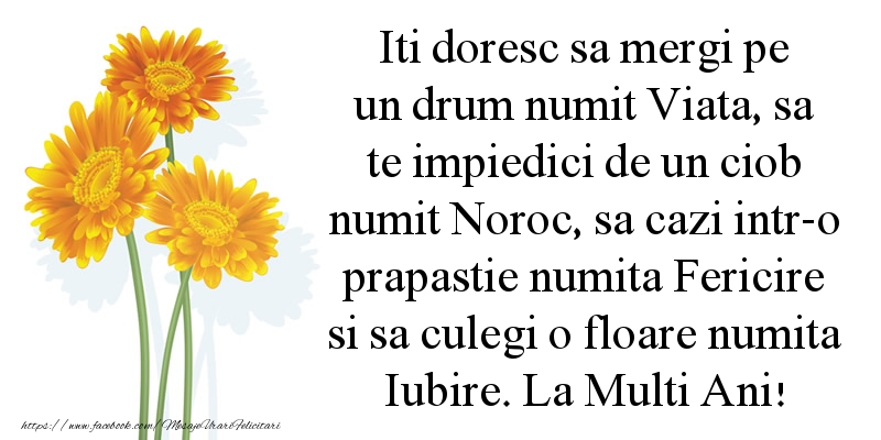 Felicitari aniversare De Zi De Nastere - Viata, Noroc, Fericire si Iubire