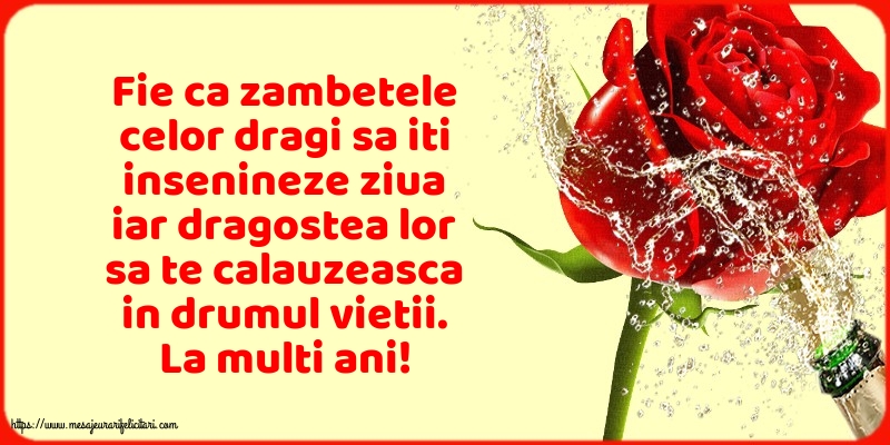 Felicitari aniversare De Zi De Nastere - La multi ani!