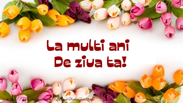 Felicitari aniversare De Zi De Nastere - La multi ani de ziua ta!