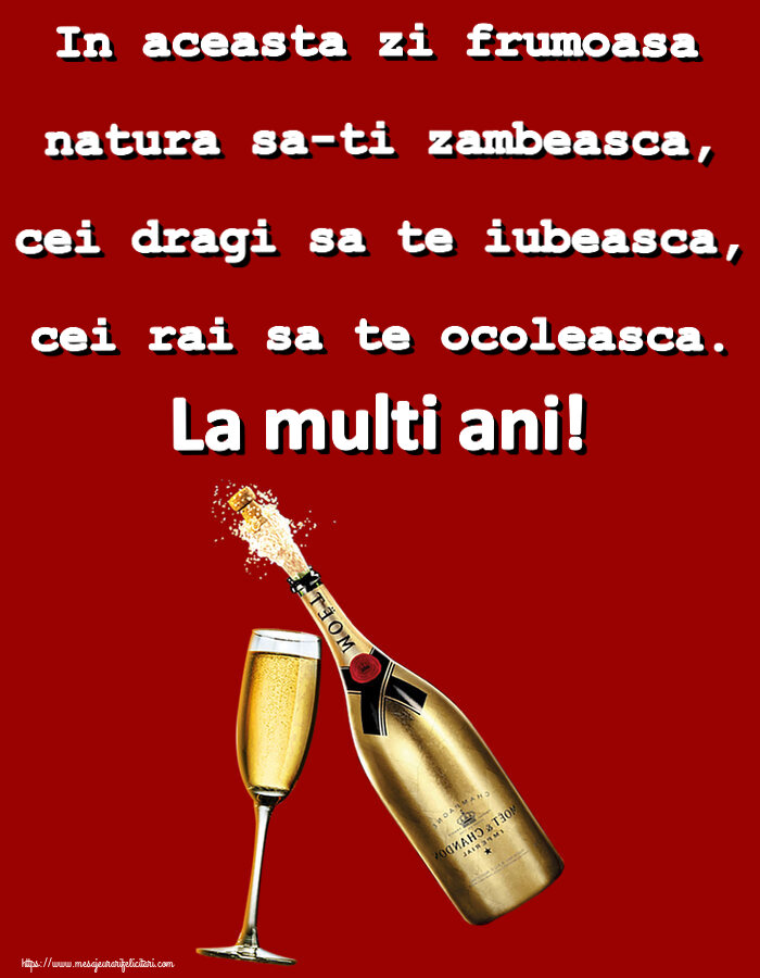 Felicitari aniversare De Zi De Nastere - In aceasta zi frumoasa natura sa-ti zambeasca, cei dragi sa te iubeasca, cei rai sa te ocoleasca. La multi ani!