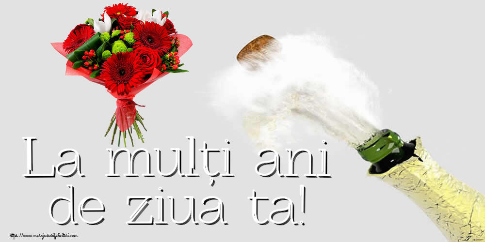 Felicitari aniversare De Zi De Nastere - La mulți ani de ziua ta!