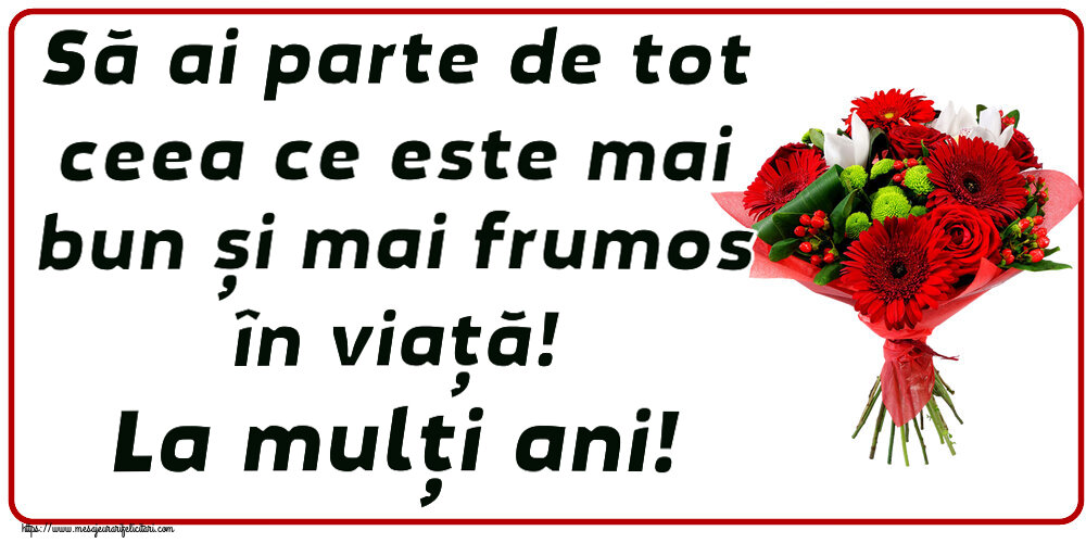 Felicitari aniversare De Zi De Nastere - Să ai parte de tot ceea ce este mai bun și mai frumos în viață! La mulți ani!