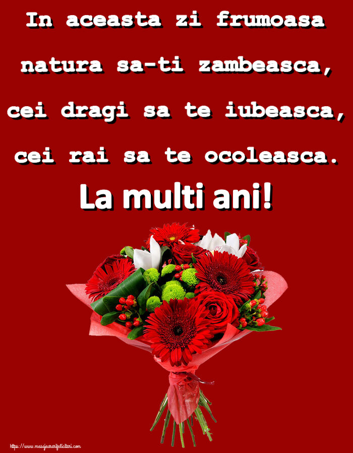 Felicitari aniversare De Zi De Nastere - In aceasta zi frumoasa natura sa-ti zambeasca, cei dragi sa te iubeasca, cei rai sa te ocoleasca. La multi ani!