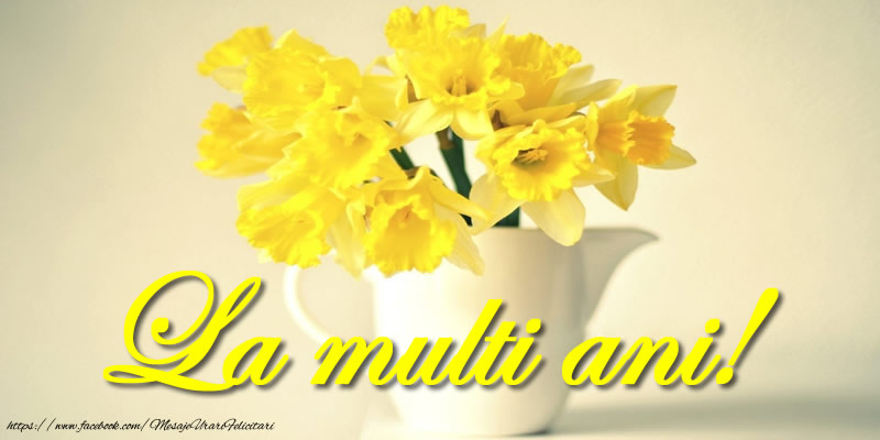 Felicitari aniversare De Zi De Nastere - La multi ani!