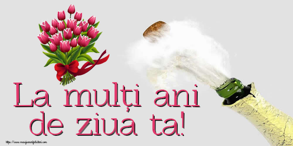 Felicitari aniversare De Zi De Nastere - La mulți ani de ziua ta!