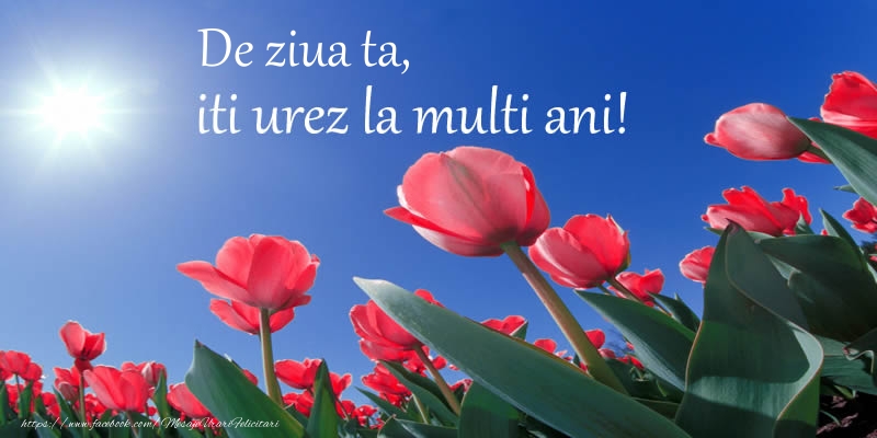 Felicitari aniversare De Zi De Nastere - De ziua ta, iti urez La multi ani!