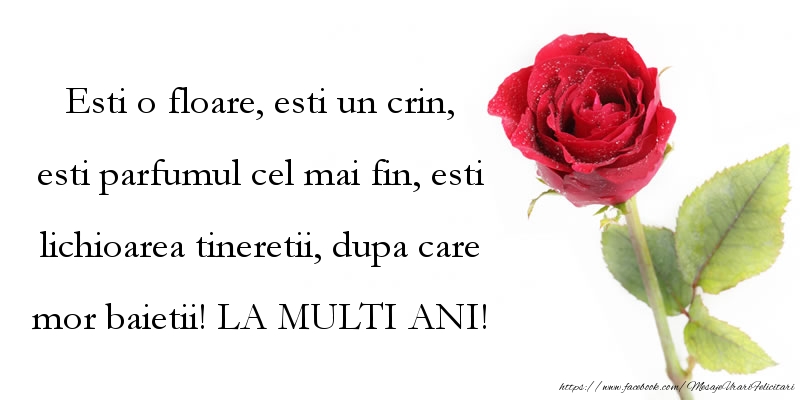 Felicitari aniversare De Zi De Nastere - Esti o floare esti un crin